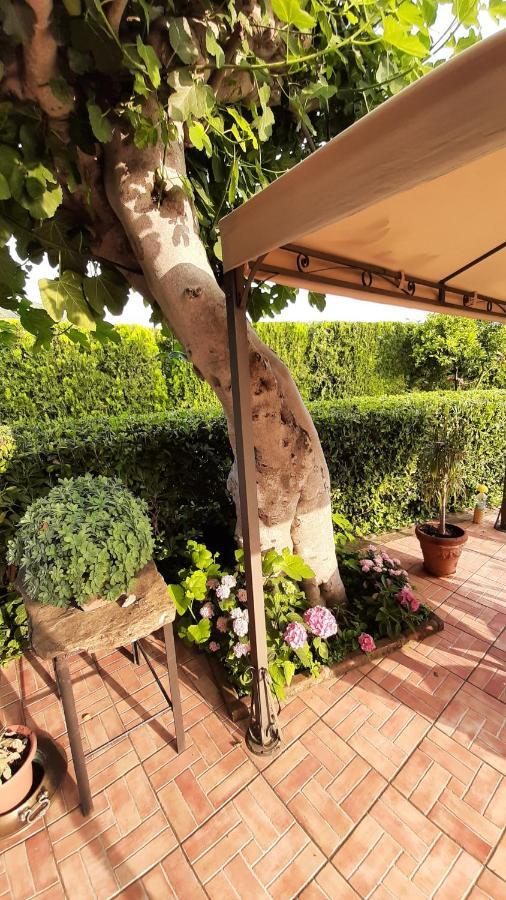 Bed and Breakfast Casale Battaglini Castelnuovo Cilento Exterior foto